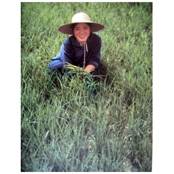 Authentique ensemble bleu de Chine, entre tradition et élégance intemporelle.